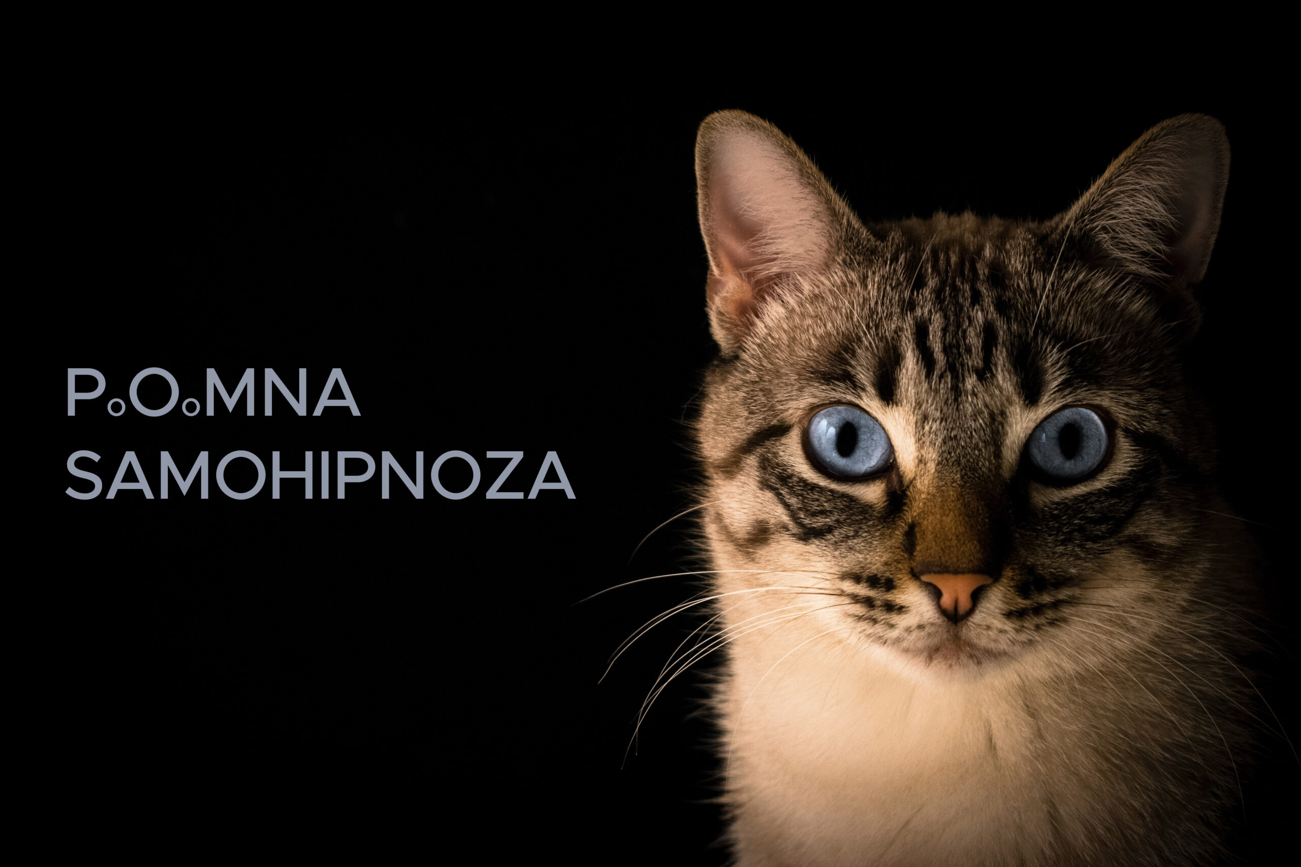 Radionica Pomne samohipnoze